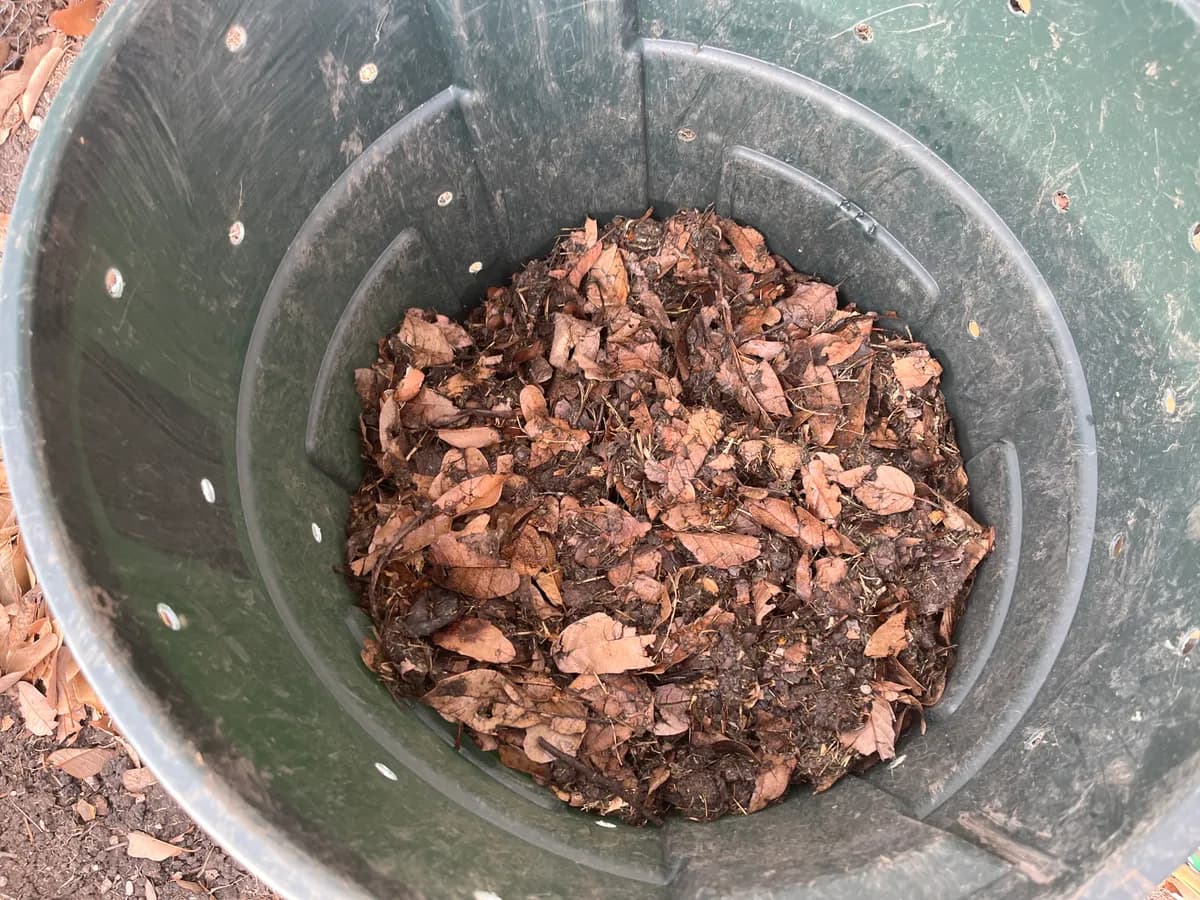 Compost photo