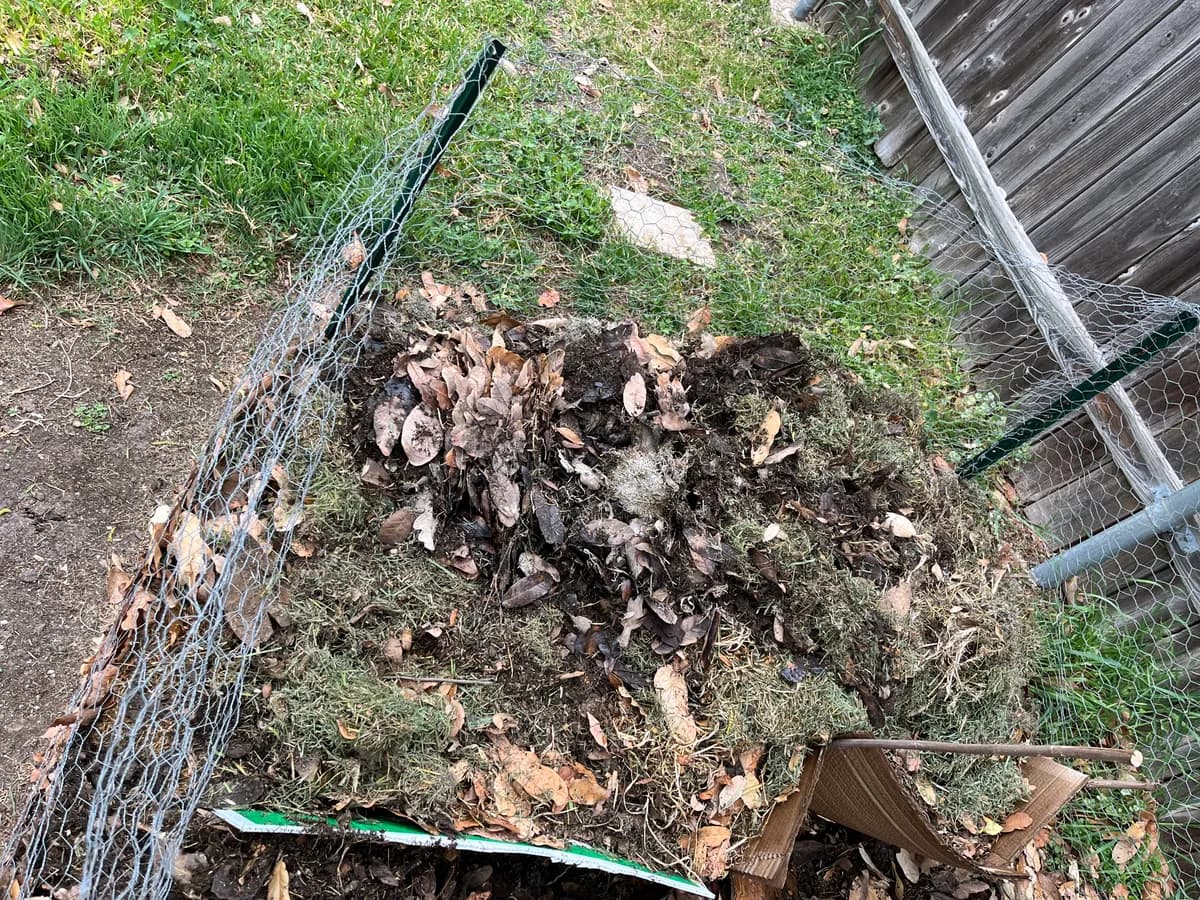 Compost photo 2 of 2