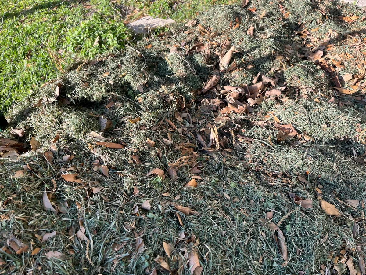 Compost photo 2 of 2