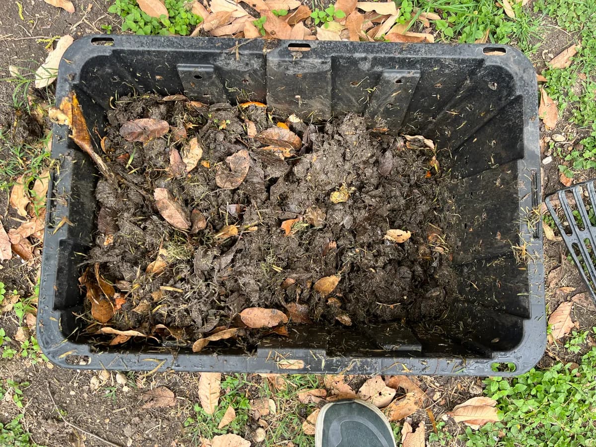 Compost photo 2 of 2
