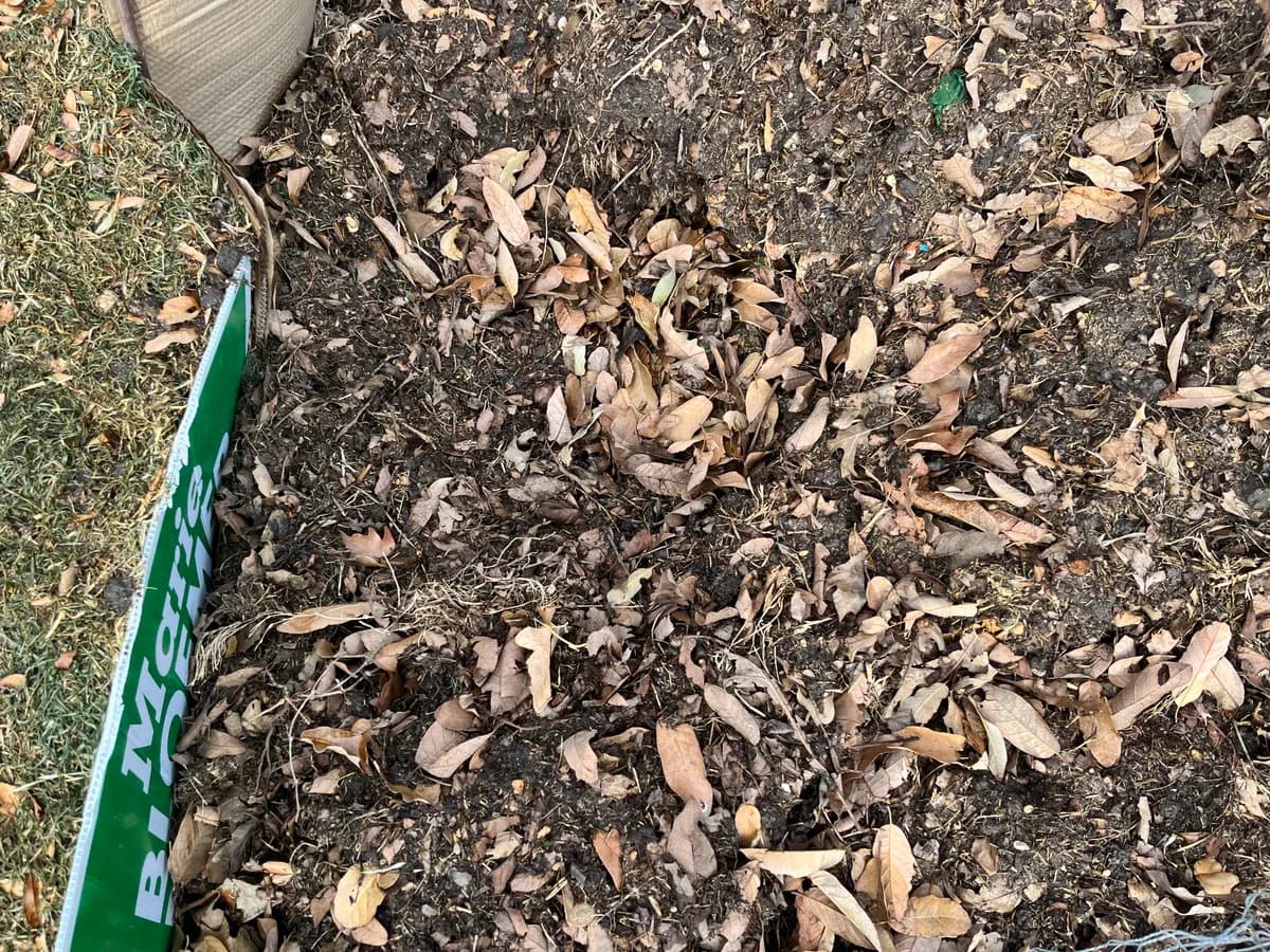 Compost photo 1 of 2