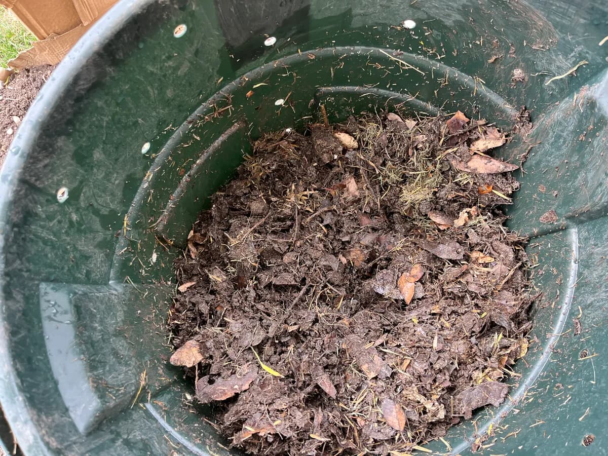 Compost photo 2 of 2