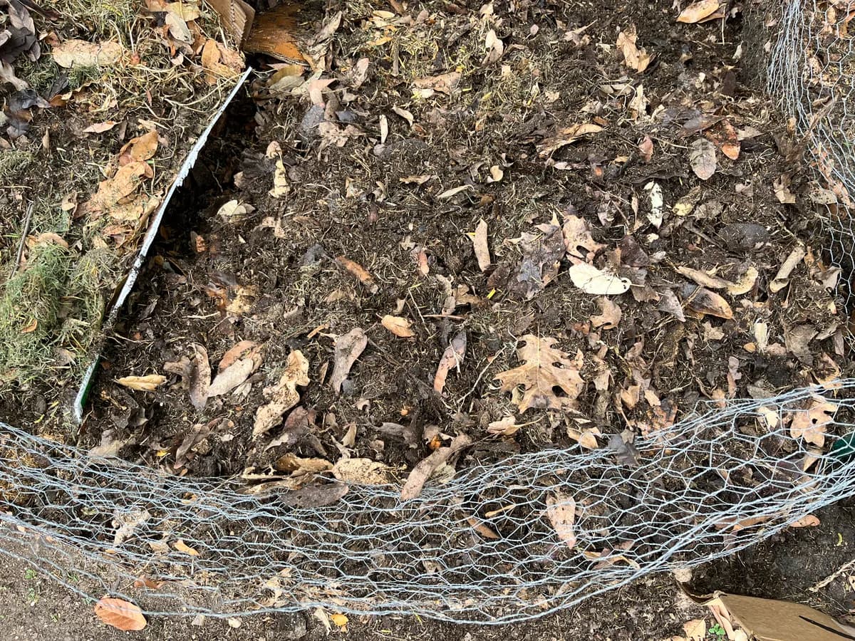 Compost photo 1 of 2