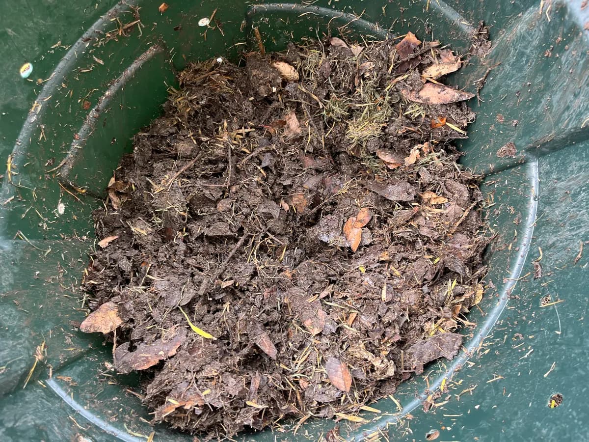 Compost photo 1 of 2