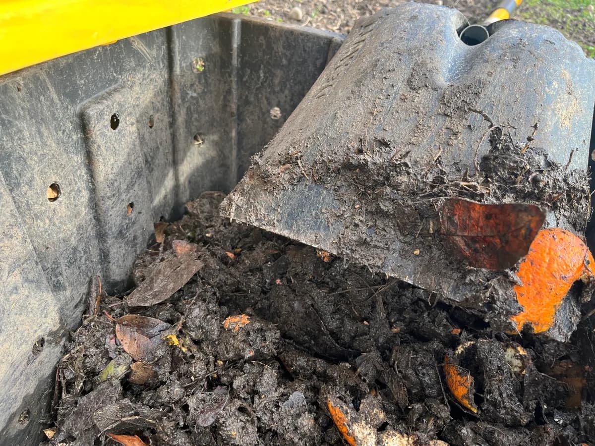 Compost photo