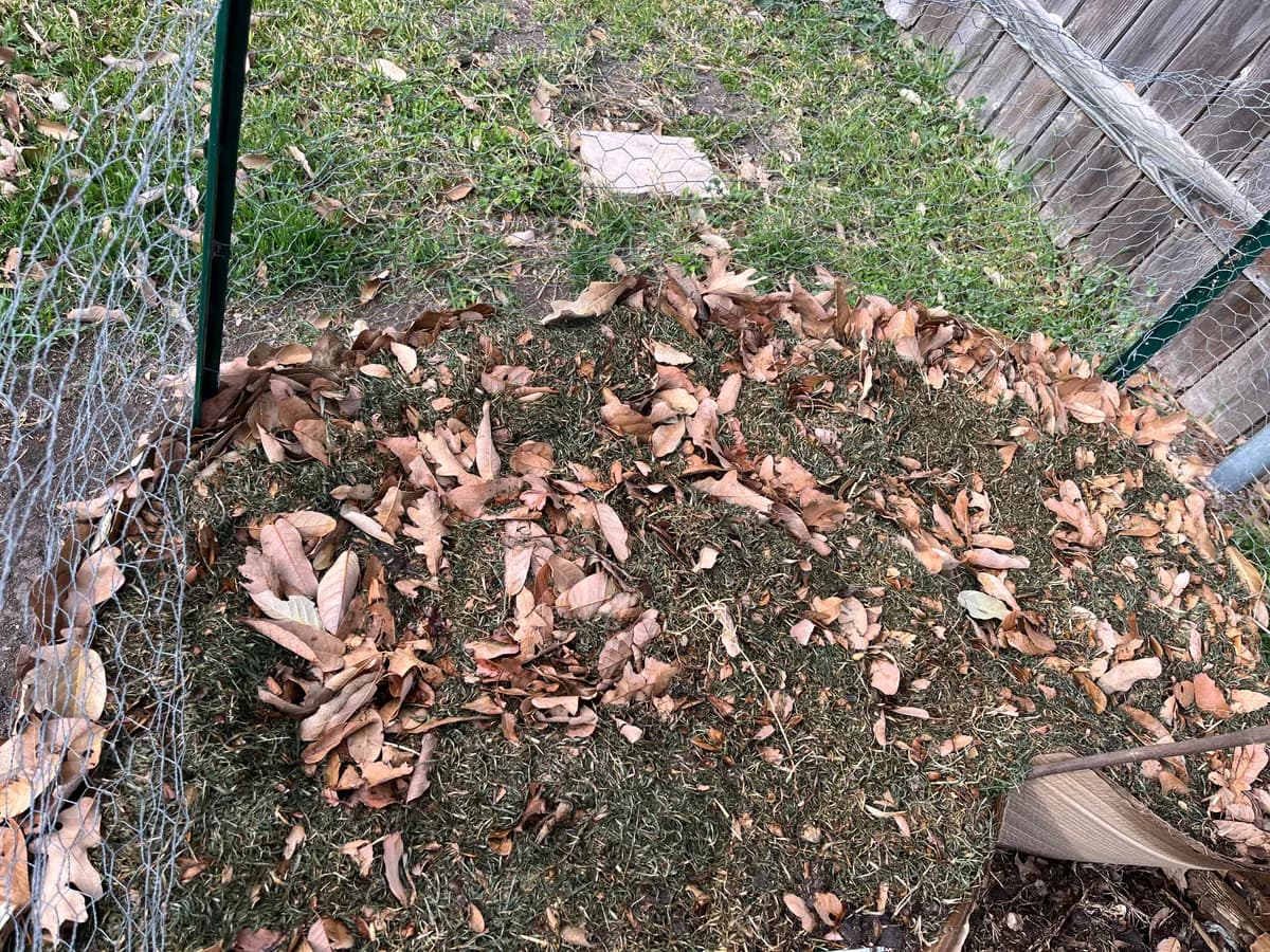 Compost photo 2 of 2